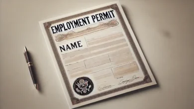 Employment Permits: Step-by-Step Guide for Foreign Professionals