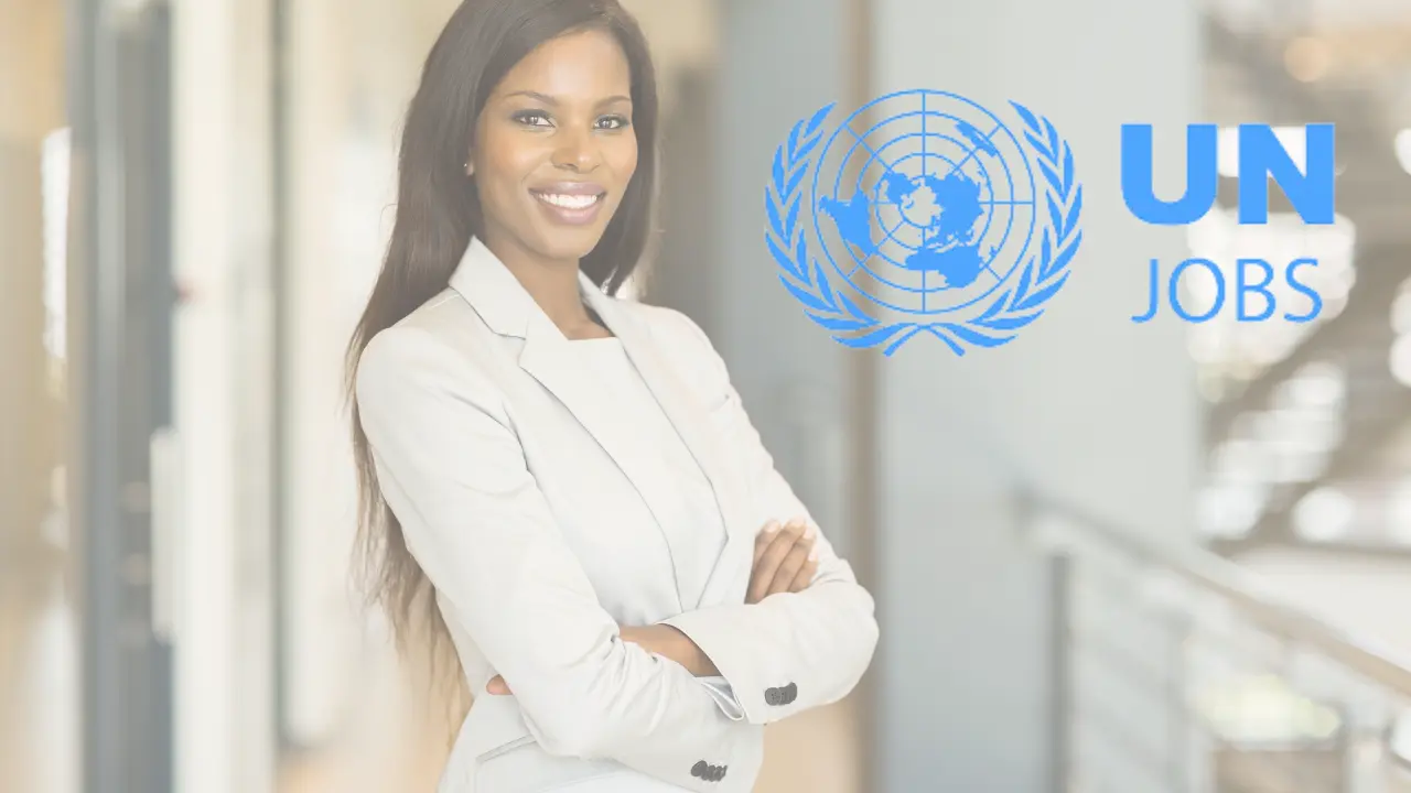 UN Jobs: A Comprehensive Guide to Build a Global Career