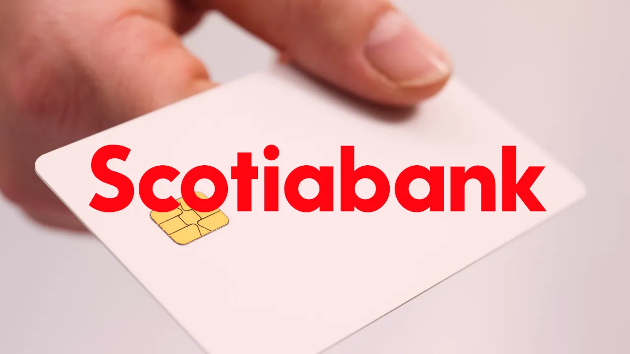 Scotiabank Credit Card: Tailored for You